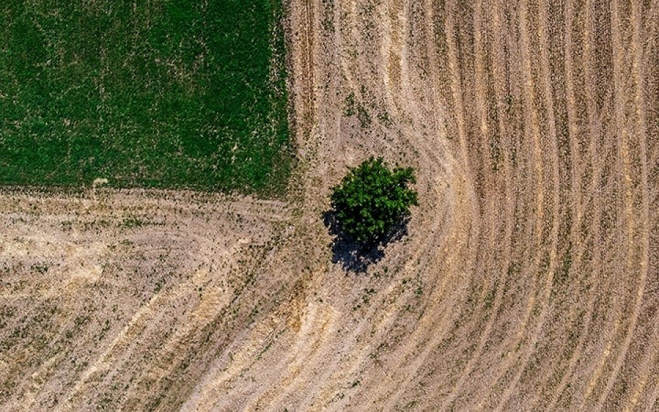 tram phuong ngan ke chong choi nang nong ky luc tren khap the gioi