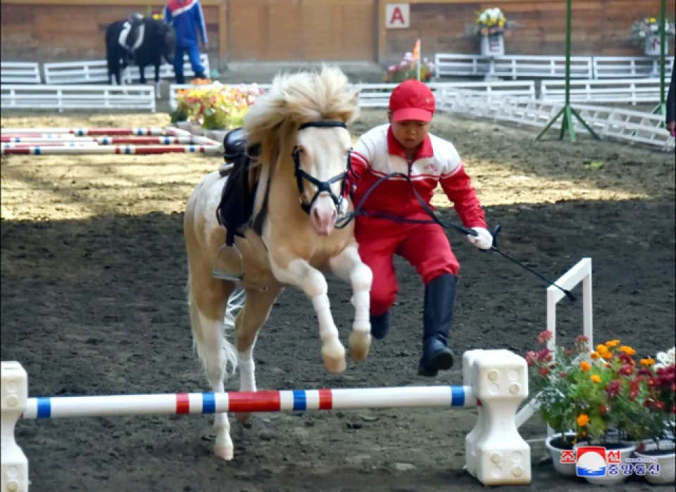 thu vui giai tri cua nguoi dan trieu tien