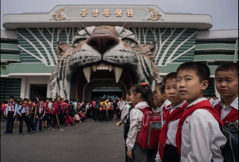 thu vui giai tri cua nguoi dan trieu tien