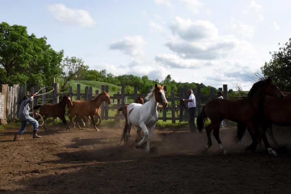 tho dan my cuoi ngua ky niem 150 nam dinh chien voi nguoi da trang