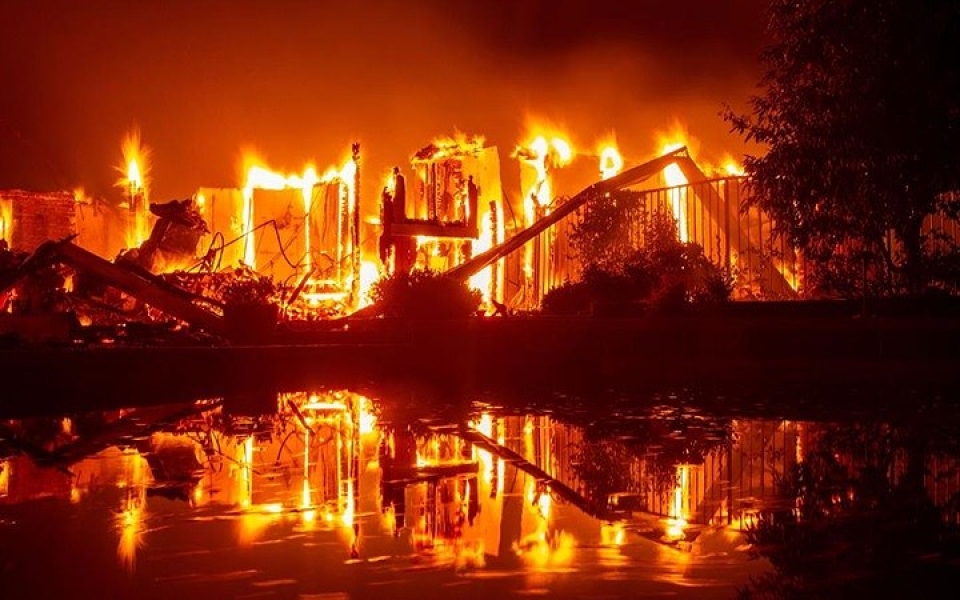 my chay rung nhan chim nhieu khu vuc o california trong bien lua