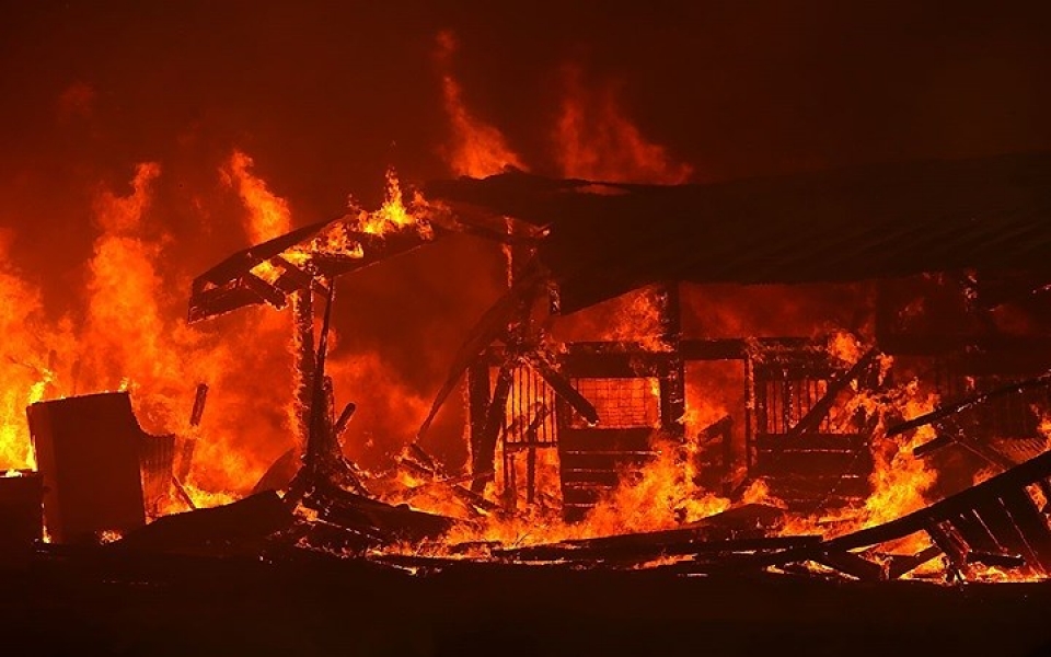 my chay rung nhan chim nhieu khu vuc o california trong bien lua