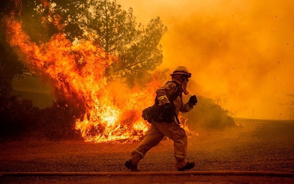 my chay rung nhan chim nhieu khu vuc o california trong bien lua