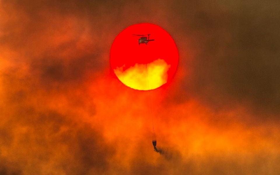 my chay rung nhan chim nhieu khu vuc o california trong bien lua