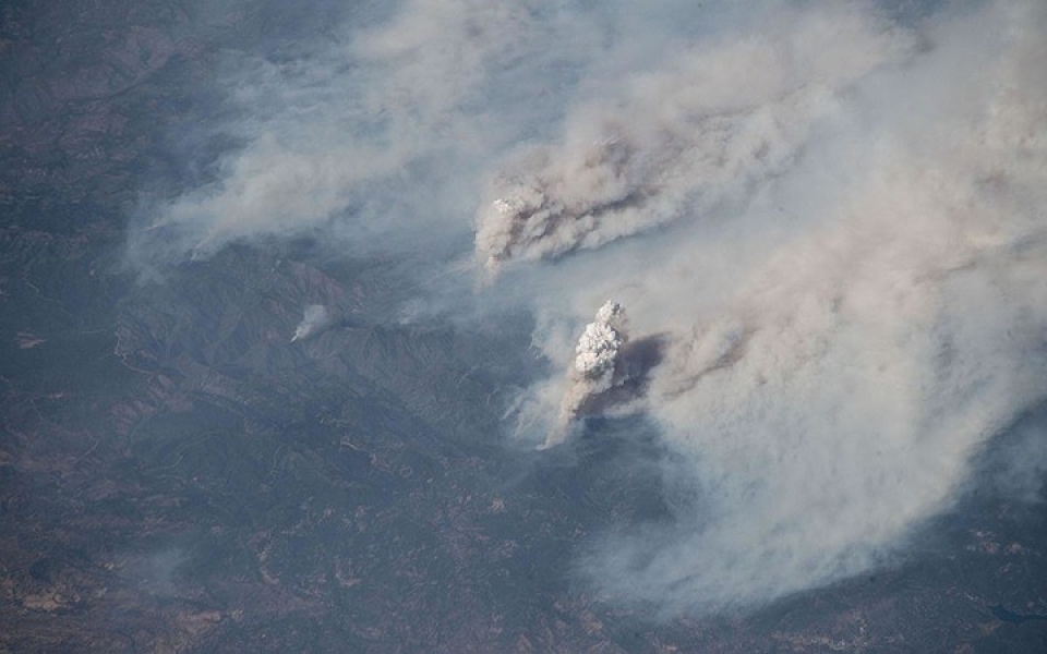 my chay rung nhan chim nhieu khu vuc o california trong bien lua