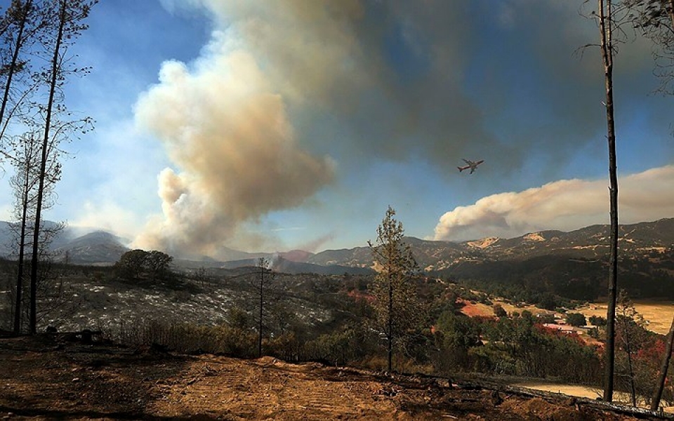 my chay rung nhan chim nhieu khu vuc o california trong bien lua