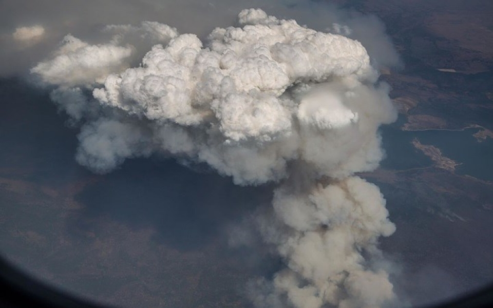 my chay rung nhan chim nhieu khu vuc o california trong bien lua