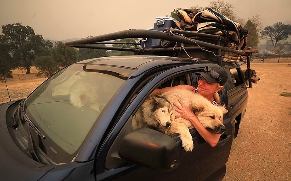 my chay rung nhan chim nhieu khu vuc o california trong bien lua