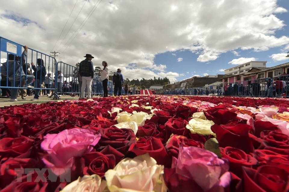 long lay kim tu thap duoc ket tu hang tram nghin doa hong