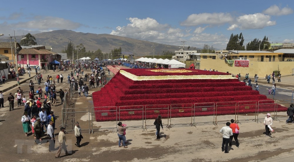long lay kim tu thap duoc ket tu hang tram nghin doa hong