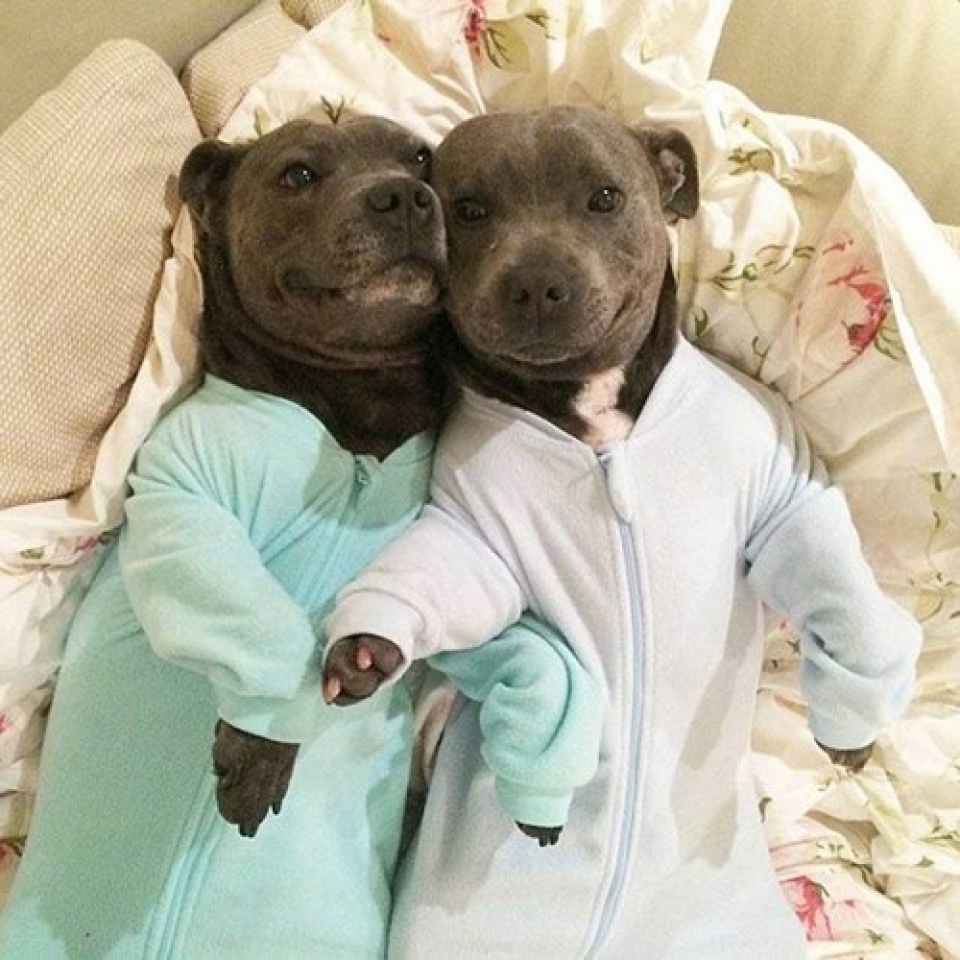 nhung khoanh khac hanh phuc gian di khien ban them yeu cuoc song