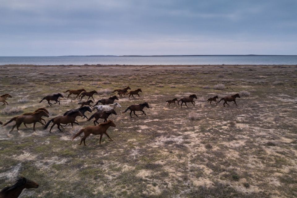 bien kin can kho thi tran cang tap nap khach du lich