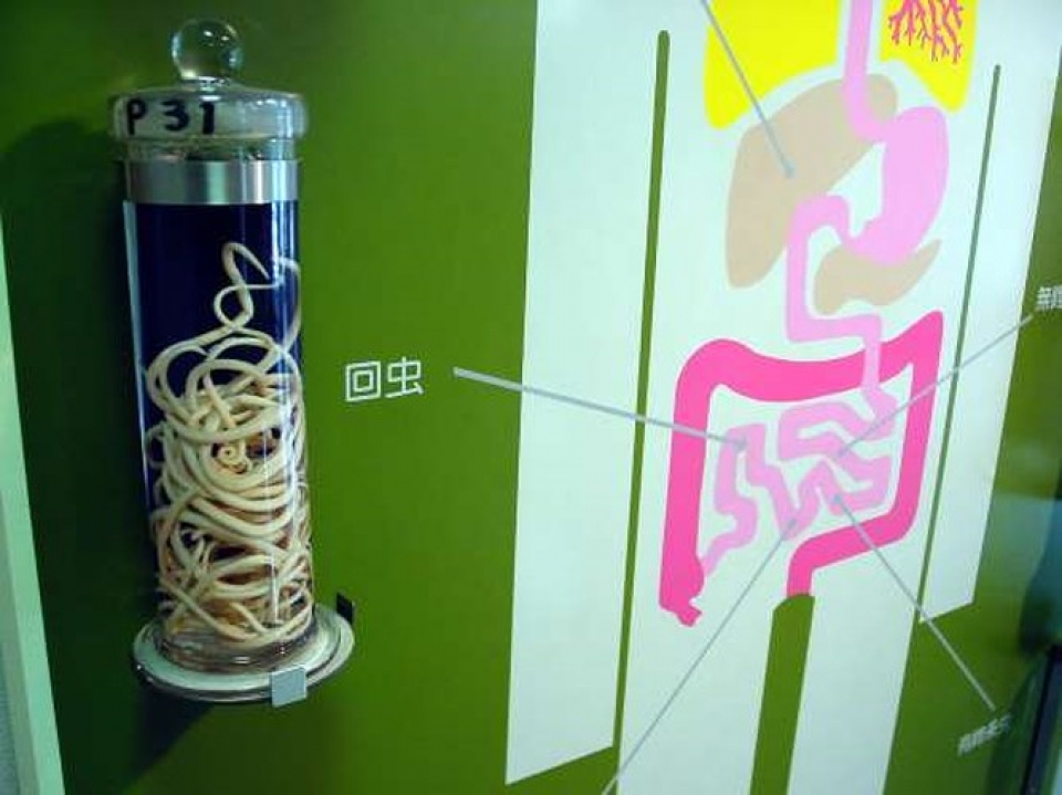 kham pha nhung bao tang ky la nhat the gioi