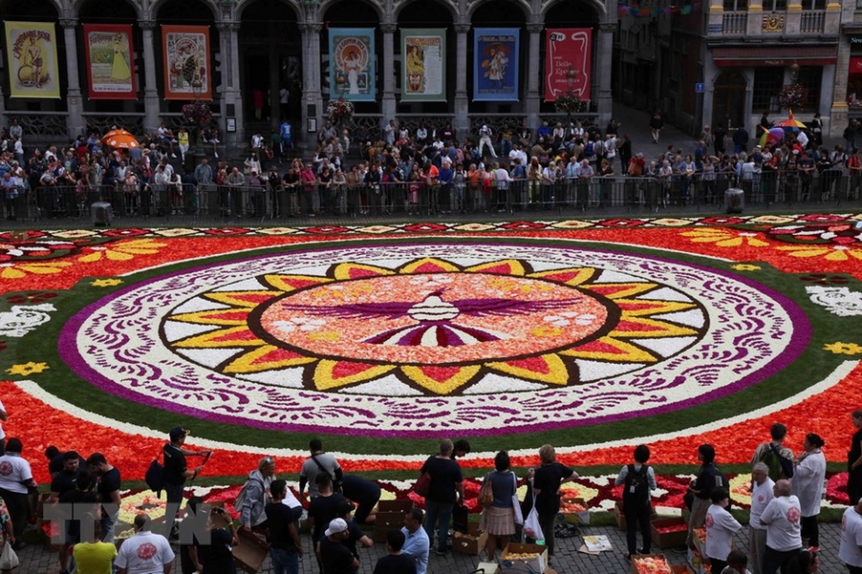 chiem nguong tam tham hoa hai duong khong lo tai quang truong nuoc bi