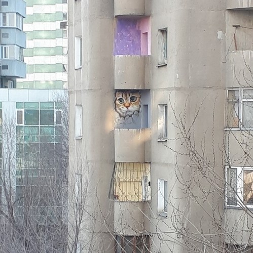 do ban biet dau la that gia trong nhung buc anh duong pho