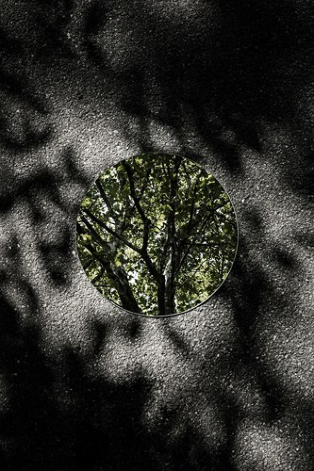 ve dep cua tu nhien qua tam guong tron