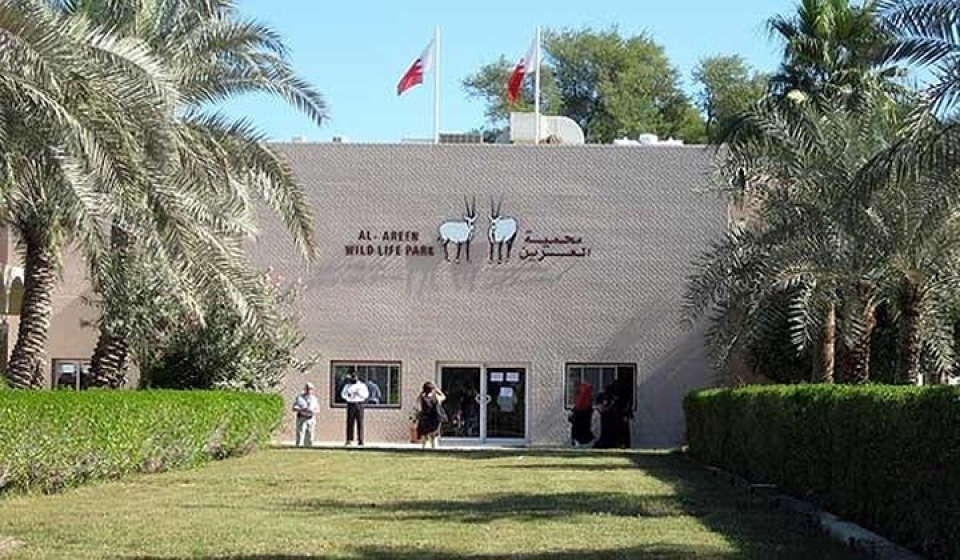 canh dep xu so bahrain