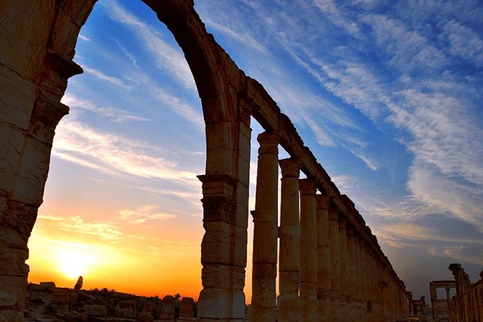 canh dep me hon cua syria co doi bong sap do suc voi tuyen viet nam