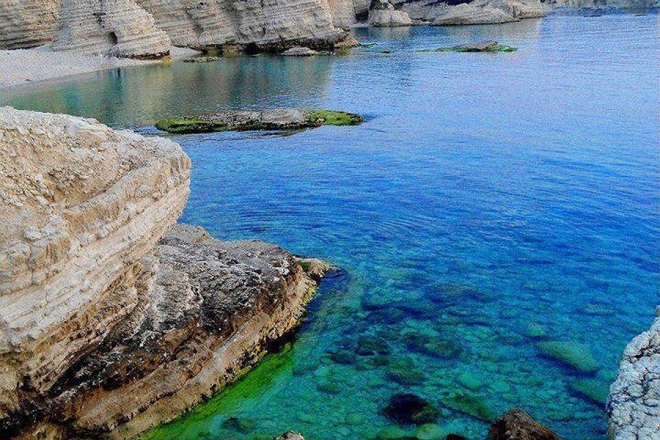 canh dep me hon cua syria co doi bong sap do suc voi tuyen viet nam