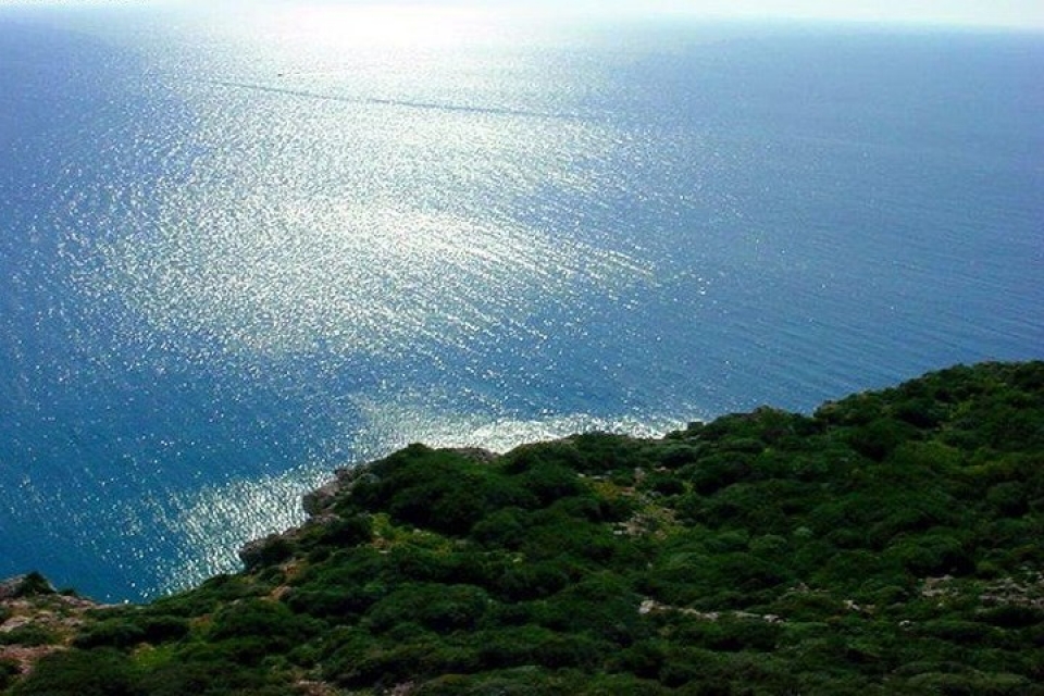 canh dep me hon cua syria co doi bong sap do suc voi tuyen viet nam