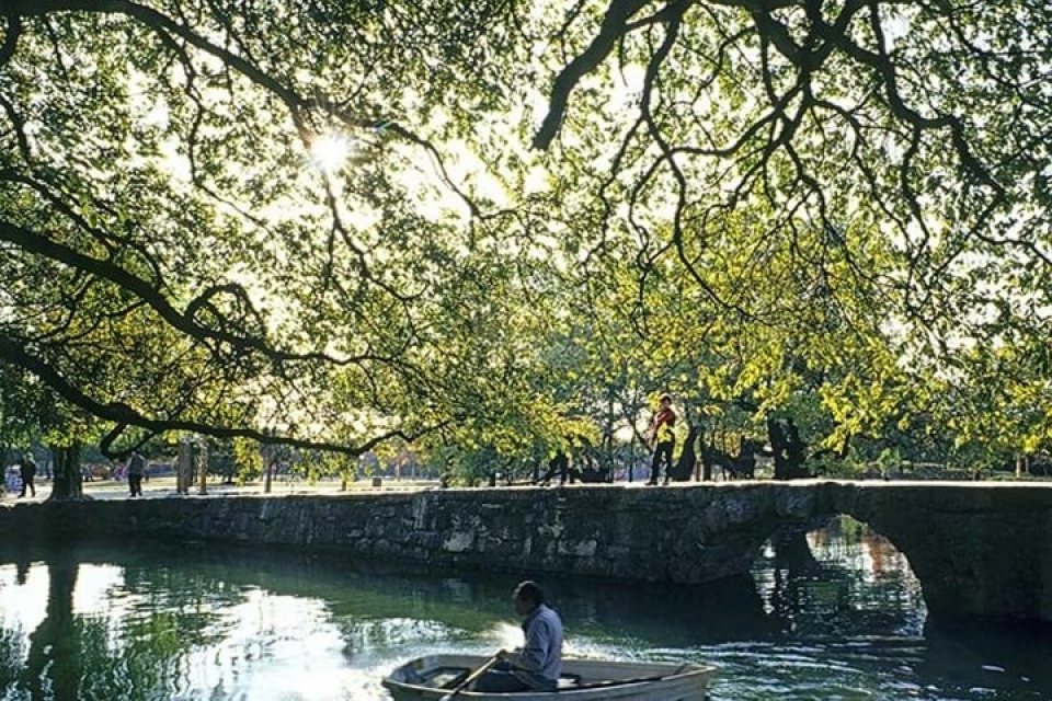 kham pha xu kim chi truoc tran cau sinh tu olympic viet nam han quoc