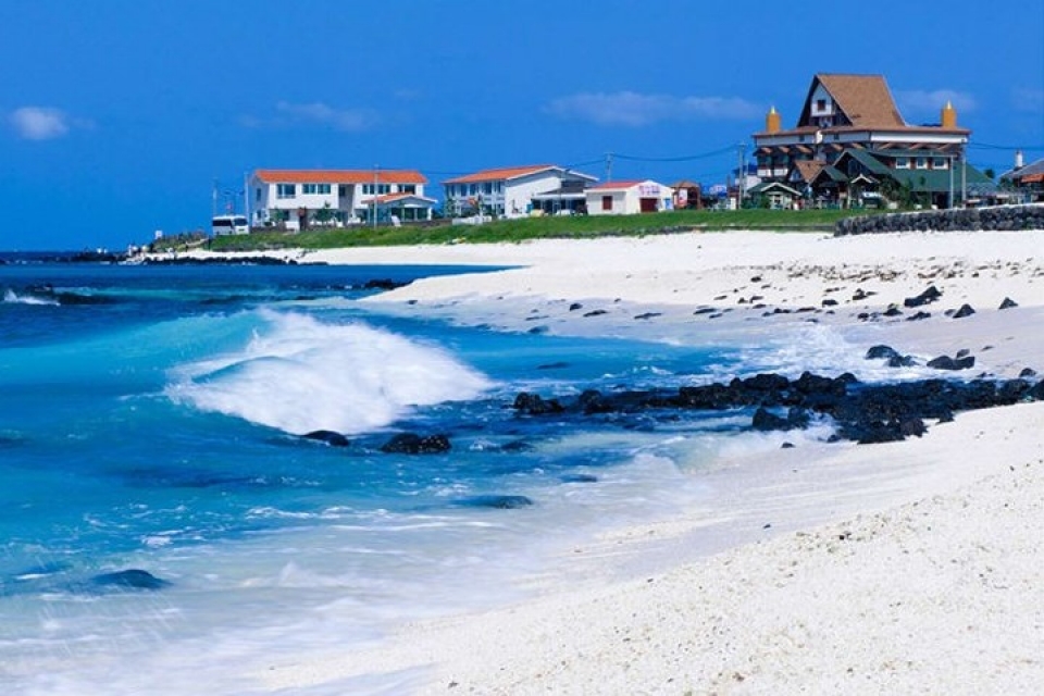 kham pha xu kim chi truoc tran cau sinh tu olympic viet nam han quoc