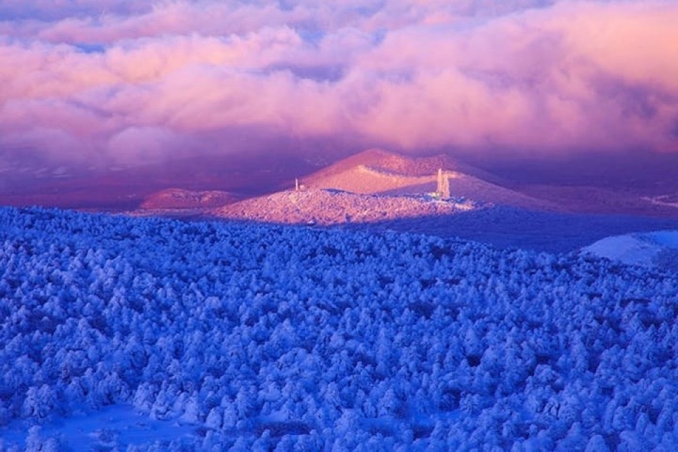 kham pha xu kim chi truoc tran cau sinh tu olympic viet nam han quoc