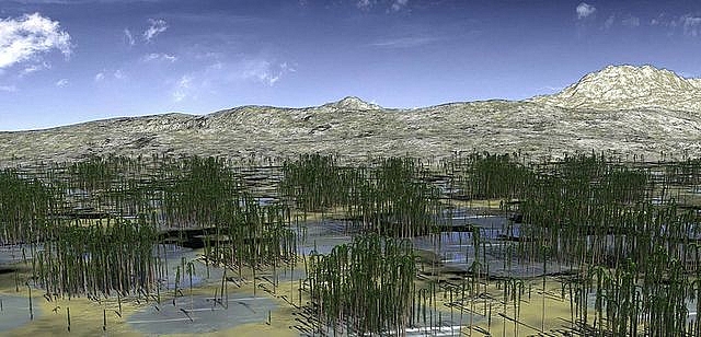 phat hien khu rung hoa thach 419 trieu nam tuoi o trung quoc