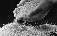 my di choi cong vien bong dung nhat duoc cuc kim cuong tien ty