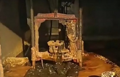 mexico chuyen hy huu dao gieng trong vuon nha phat hien mo dau