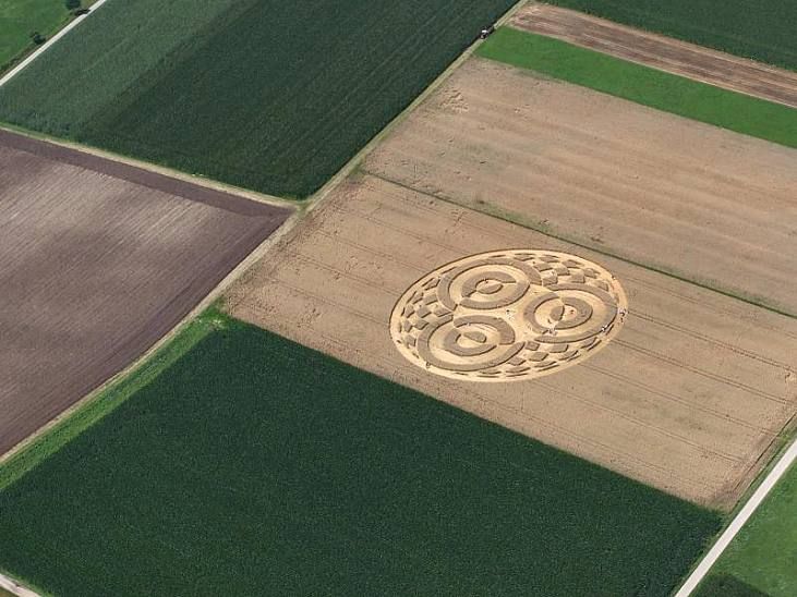 Vòng tròn bí ẩn giữa cánh đồng lúa mì ở Đức. (Nguồn: Focus) 5116 urn newsml dpa com 20090101 140801 99 01801 large 4 3