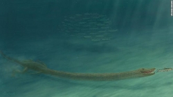 Nhà khoa học giải mã bí ẩn về quái vật cổ dài thời tiền sử sau hơn 1 thế kỷ 'bối rối'