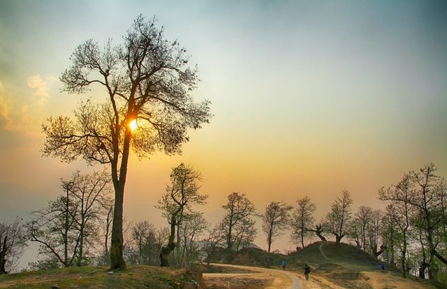 y ty dep me li ca 4 mua vung dat khien du khach tro lai muoi lan chua chan