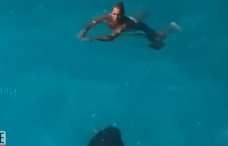 Video nữ du khách 'hết hồn' khi đụng độ cá mập thu hút nửa triệu người xem