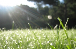 Dự báo thời tiết đêm nay và ngày mai (20-21/8): Trời mây nắng đan xen; cả nước mưa dông rải rác; miền Bắc có nơi mưa to đến rất to