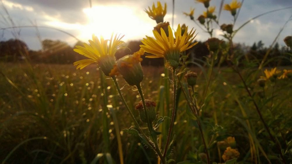 du bao thoi tiet dem nay va ngay mai 21 228