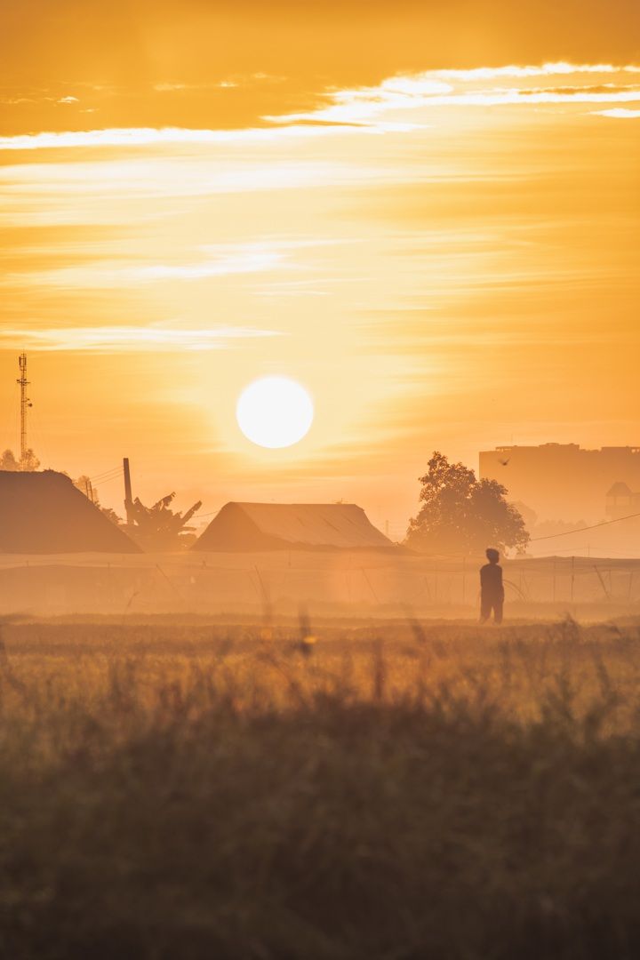 Ngoại ô Sài Gòn đẹp tựa phim trong buổi bình minh