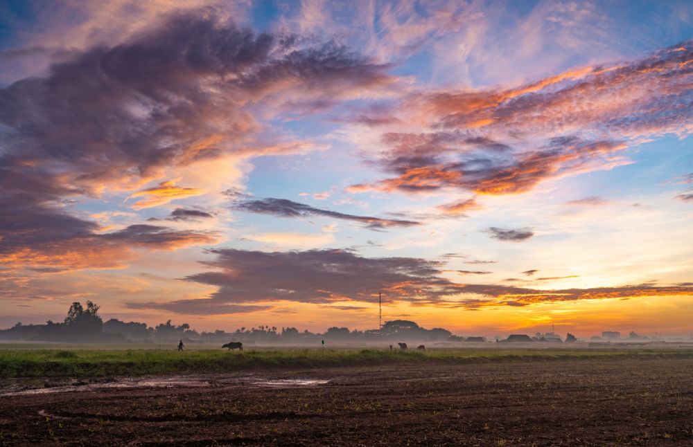 Ngoại ô Sài Gòn đẹp tựa phim trong buổi bình minh