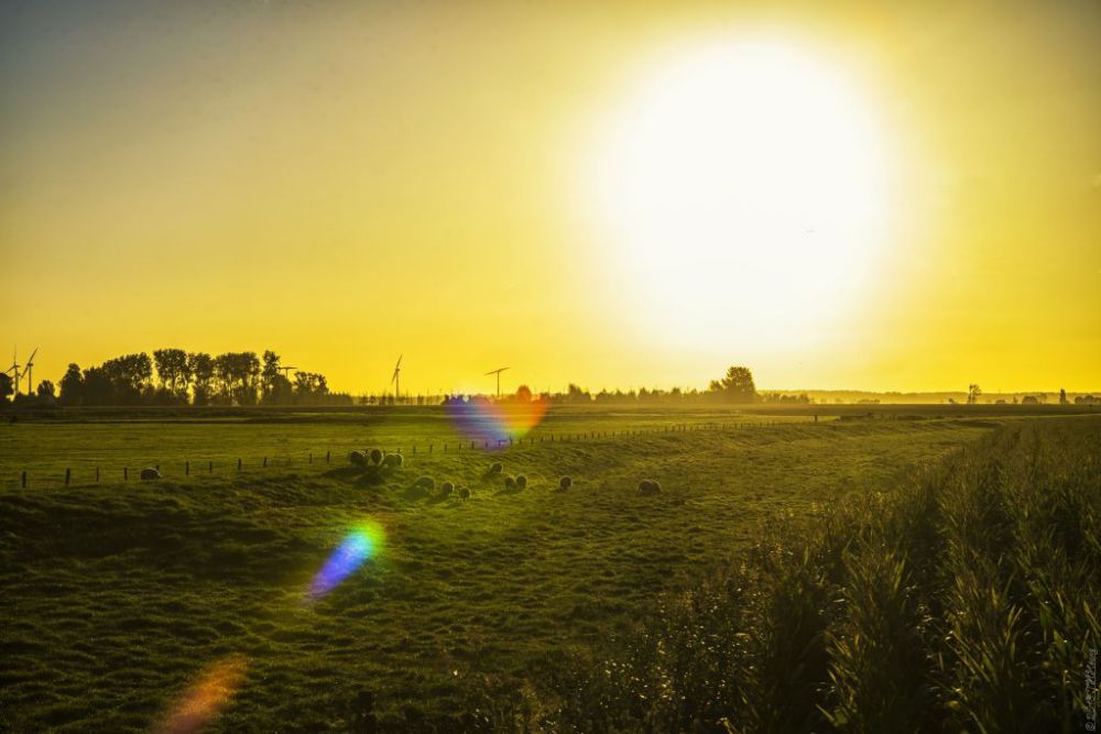 du bao thoi tiet dem nay va ngay mai 29 308