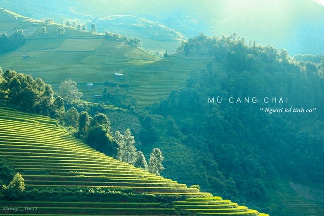 mu cang chai dep me dam mua lua moi