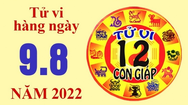 Tử vi hôm nay, tử vi 12 con giáp ngày 9/8/2022: Tuổi Tỵ hoàn thành xuất sắc công việc