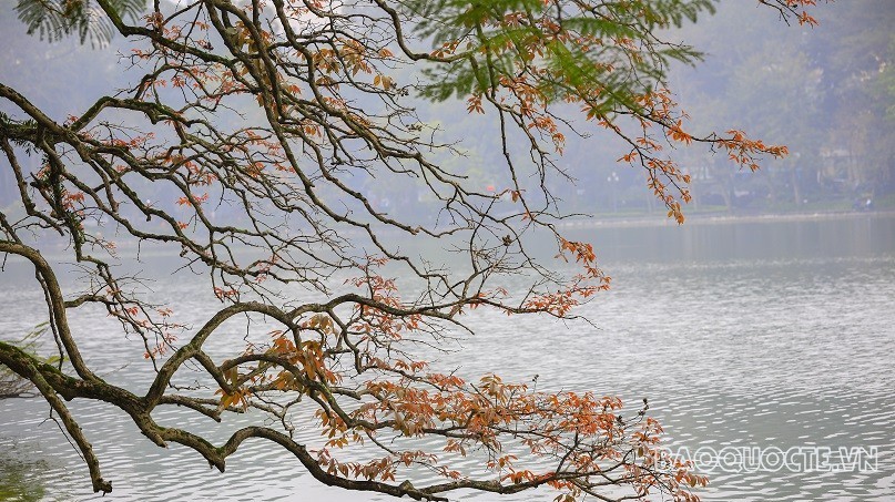 du bao thoi tiet 10 ngay 213010 tin gio mua dong bac bac bo sang va dem troi lanh thanh hoa den thu a thien hue co mua co noi mua rat to