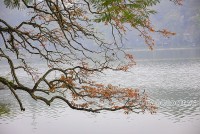 Dự báo thời tiết 10 ngày (21-30/10): Tin gió mùa Đông Bắc, Bắc Bộ sáng và đêm trời lạnh; Thanh Hóa đến Thừa Thiên Huế có mưa, có nơi mưa rất to