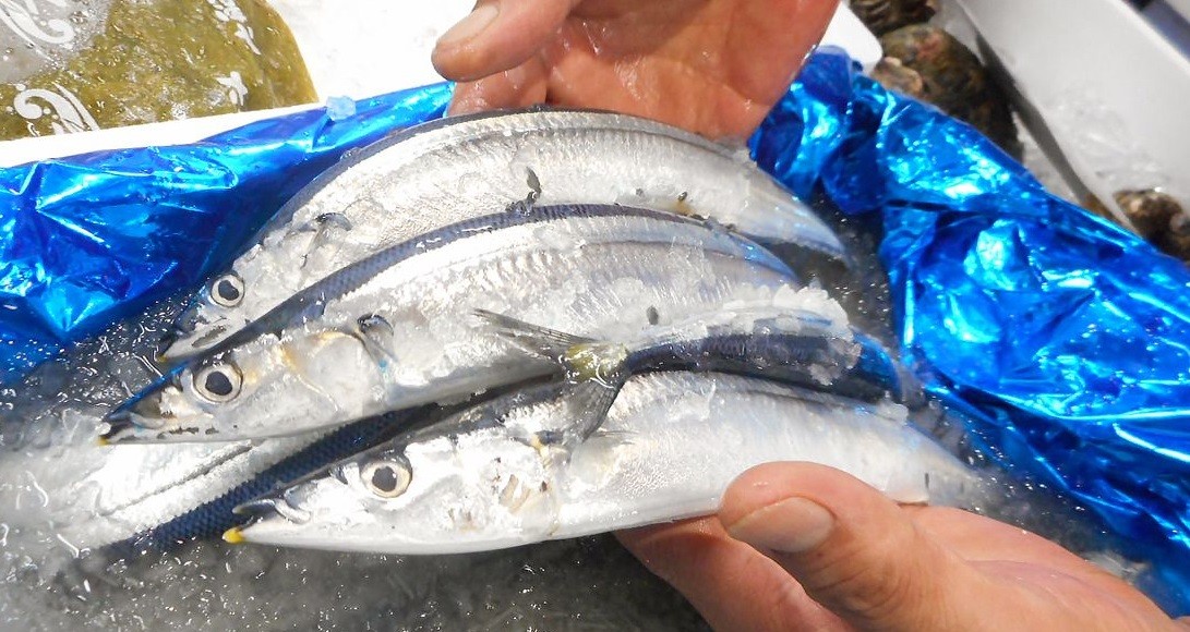 Nhật Bản: Cá thu đao đánh bắt thủ công có mức giá cao kỷ lục