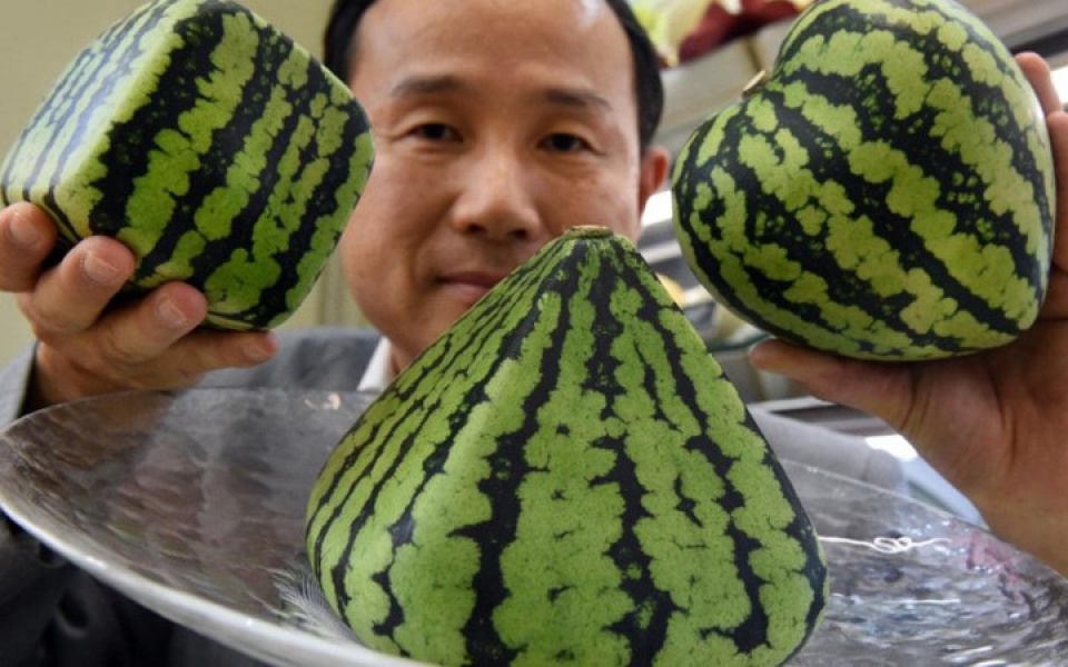 sung sot truoc nhung loai trai cay sieu dat do o nhat ban