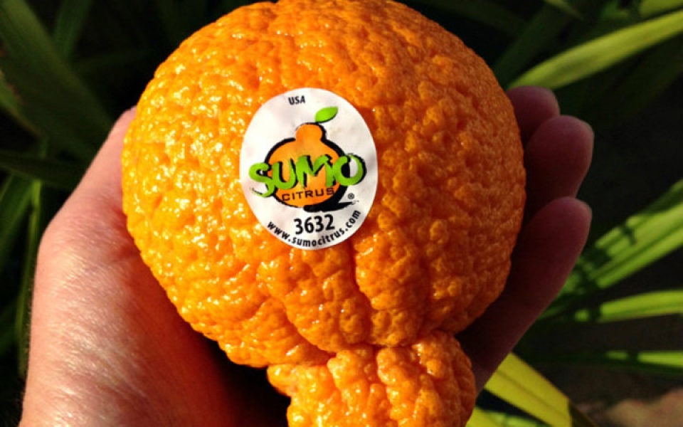 sung sot truoc nhung loai trai cay sieu dat do o nhat ban