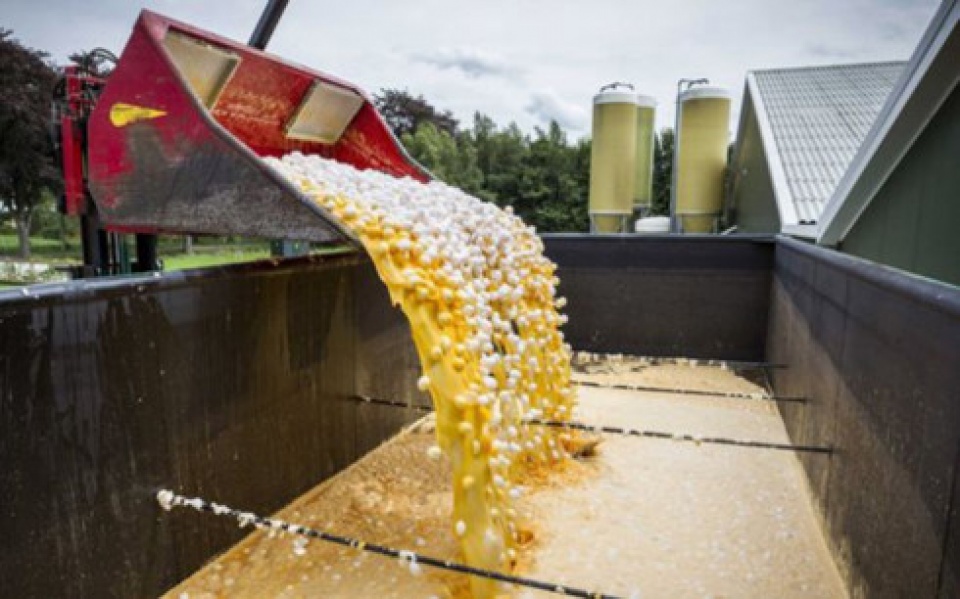 trung ban nhiem thuoc tru sau da lan rong ra 45 nuoc chau au