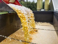 tay ban nha con trung thay the thuoc tru sau trong nong nghiep