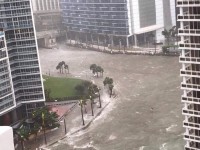 nu dich gia tri an hai que huong