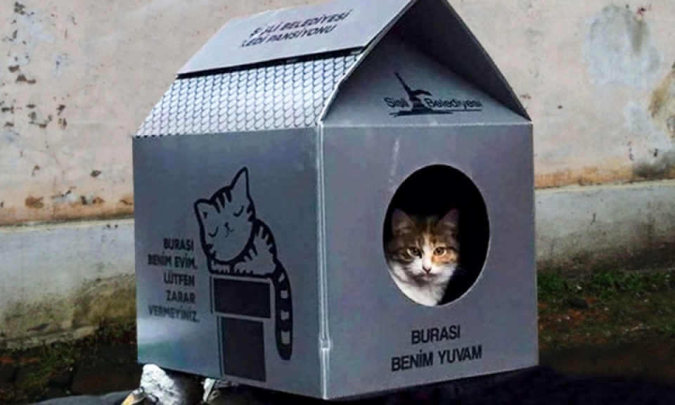 nhung hinh anh xuc dong trong cuoc song